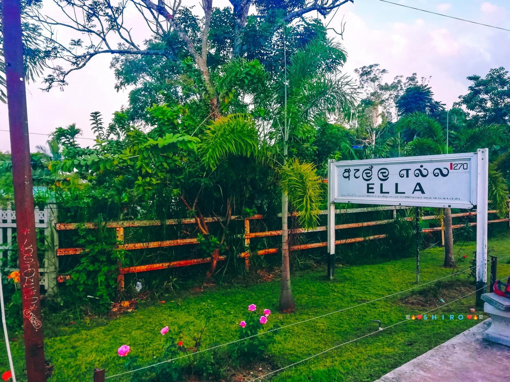 Saddle Cottage Элла Экстерьер фото